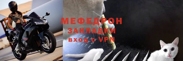 ПСИЛОЦИБИНОВЫЕ ГРИБЫ Верея